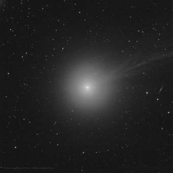 Cometa C2014-Q2 LoveJoy